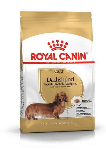 Best dry dog food for maltese top