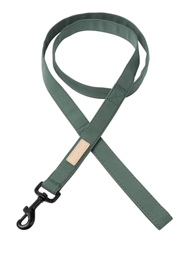 FuzzYard Life Dog Lead - Myrtle Green