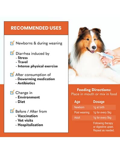 Kala Health Probiotix Improved Pet Supplements