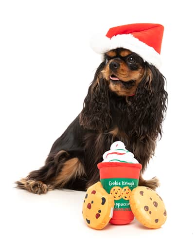 FuzzYard Howlidays Plush Dog Toy - Puppuccino & Cookies (3pk)