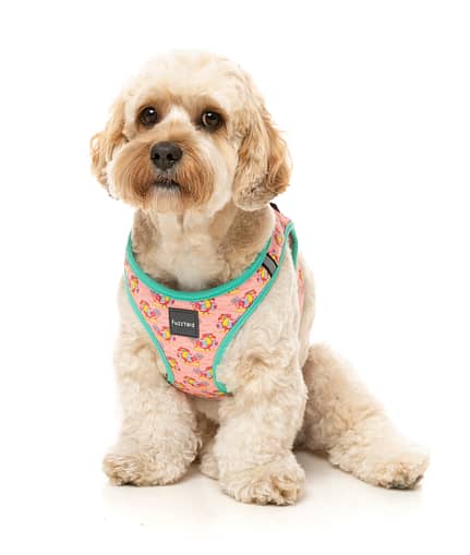 FuzzYard Step-in Dog Harness - Two-Cans