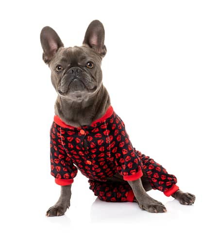 FuzzYard Dog Pyjama - Heartbreaker