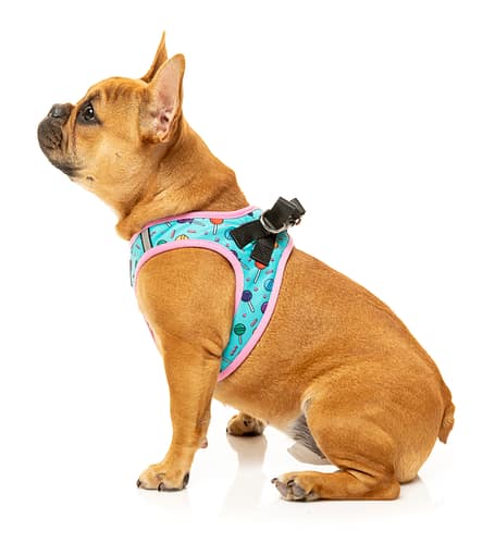 FuzzYard Step-in Dog Harness - Hey Suckers!