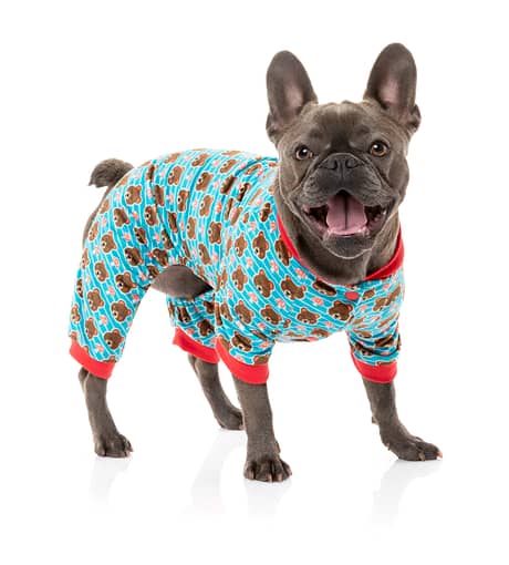 FuzzYard Dog Pyjama - FuzzBear