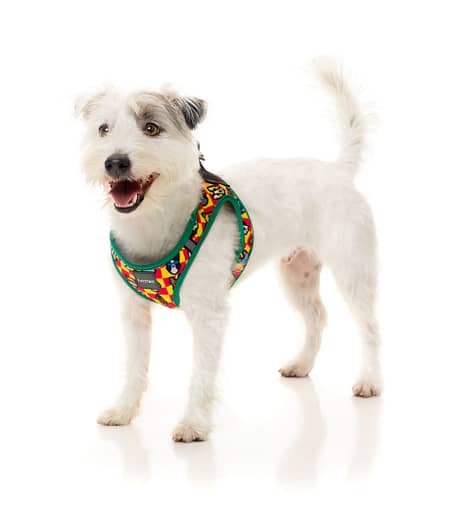 FuzzYard Step In Harness - Doggoforce