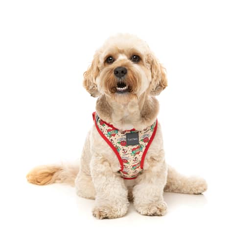 FuzzYard Step-in Dog Harness - Ink'd Up