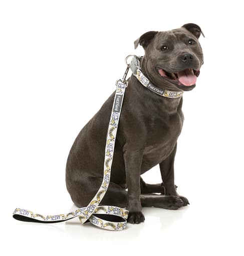 FuzzYard Dog Lead - Go Bananas