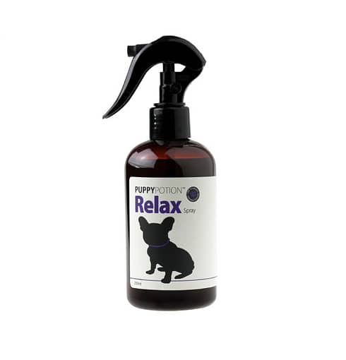 Doggy Potion Relax Conditioning Spray For Dogs 250ml