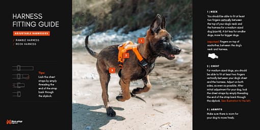 Non-stop Ramble Dog Harness