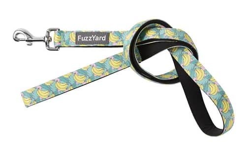 FuzzYard Dog Lead, Bananarama