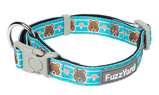 FuzzYard Dog Collars - Fuzz Bear