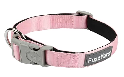 Cotton Candy Collar