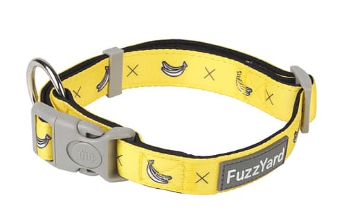 Monkey Mania Dog Collar