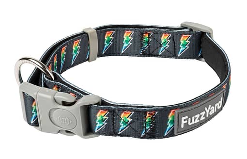 FuzzYard Dog Collars - Volt!