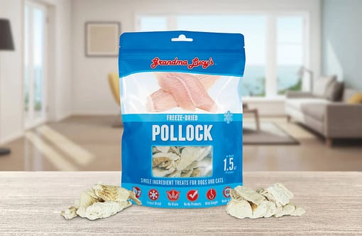 Grandma Lucy's Freeze Dried Single Pollock Dog Treats