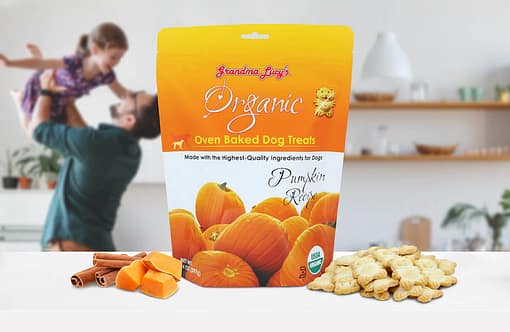 Grandma Lucy's Organic Pumpkin Oven Baked Dog Treats