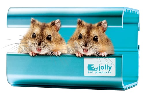 Jolly Cool House for Hamsters