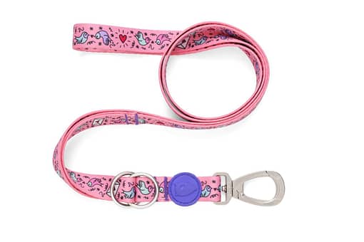 Morso Regular Dog Leash Sweet Tweet