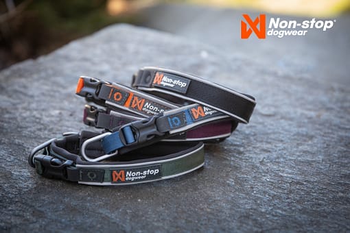 Non-stop Dogwear - Roam Collar