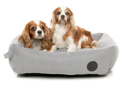 FuzzYard Lounge Pet Bed Stone Grey