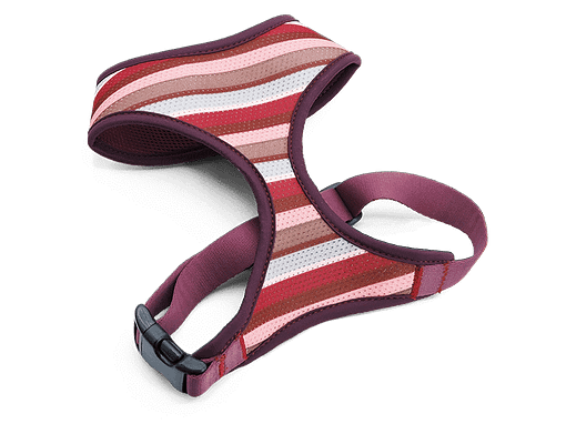 Morso Air Mesh Dog Harness