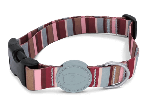 Morso Skyline Dog Collar