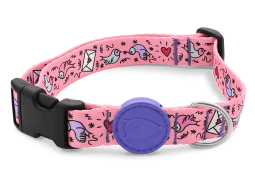 Morso Sweet Tweet Dog Collar