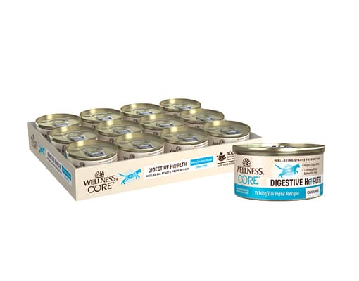 Wellness Core Digestive Health Pate WhiteFish Wet Cat Food