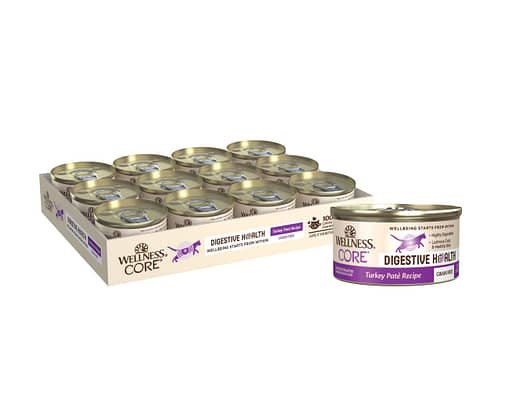 Wellness Core Digestive Health Pate Turkey Wet Cat Food