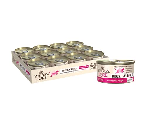 Wellness Core Digestive Health Pate Salmon Wet Cat Food