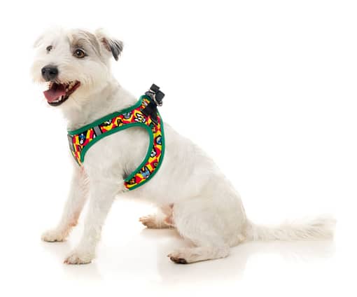 FuzzYard Step In Harness - Doggoforce