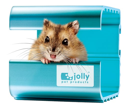 Jolly Cool House for Hamsters