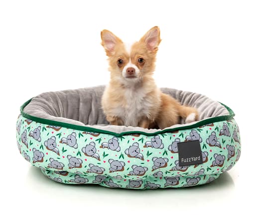 FuzzYard Reversible Pet Bed, Dreamtime Koalas