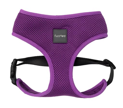 FuzzYard Harness - Grape