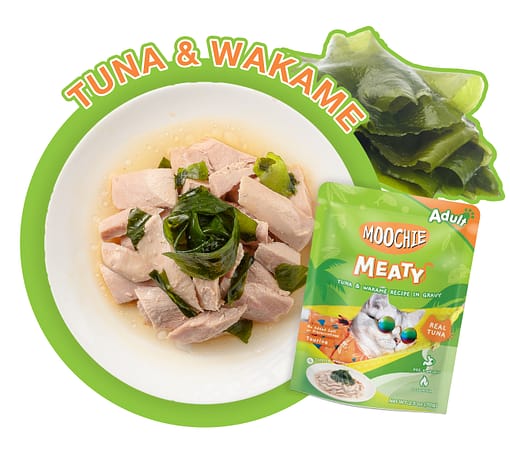 Moochie Meaty Tuna & Wakame Recipe in Gravy 70g