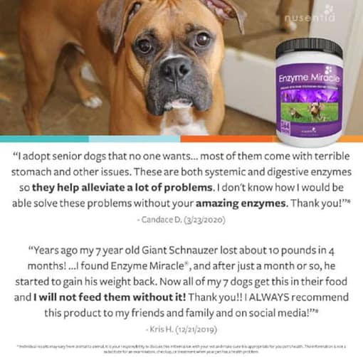 Nusentia Enzyme Miracle Supplement For Cats & Dogs 75g