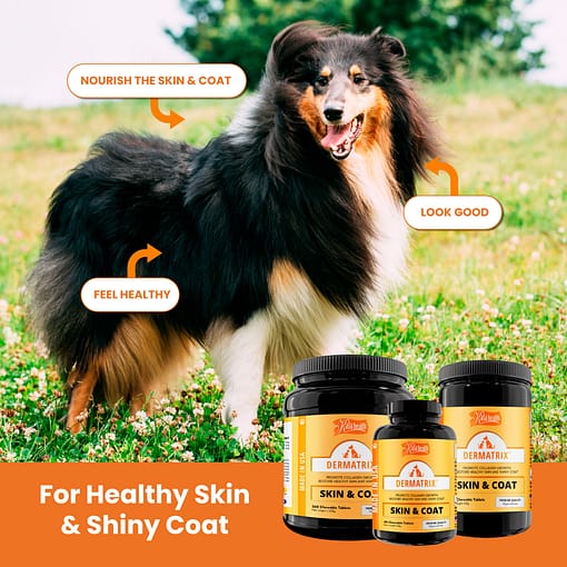 Kala Health Dermatrix For Dogs & Cats Healthy Skin & Shiny Coat