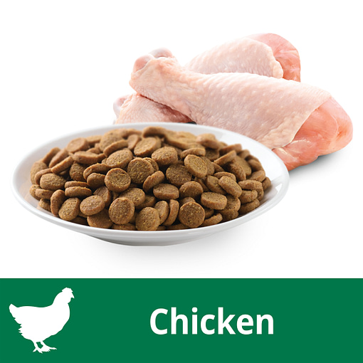 IAMS Cat Food Dry FoodSenior Chicken 3kg