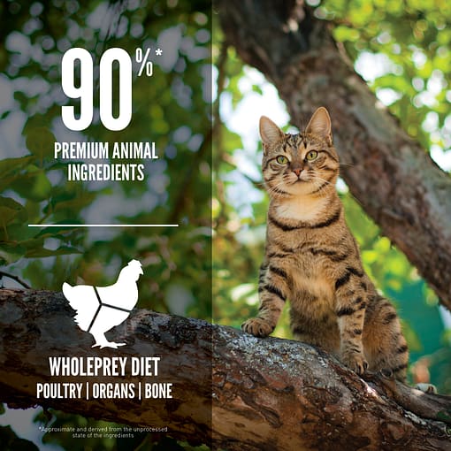 ORJEN Guardian 8 Freeze-Dried Infused Dry Cat Food