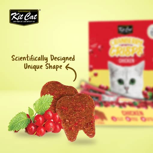 Kit Cat Cranberry Crisps Cat Treats - Chicken