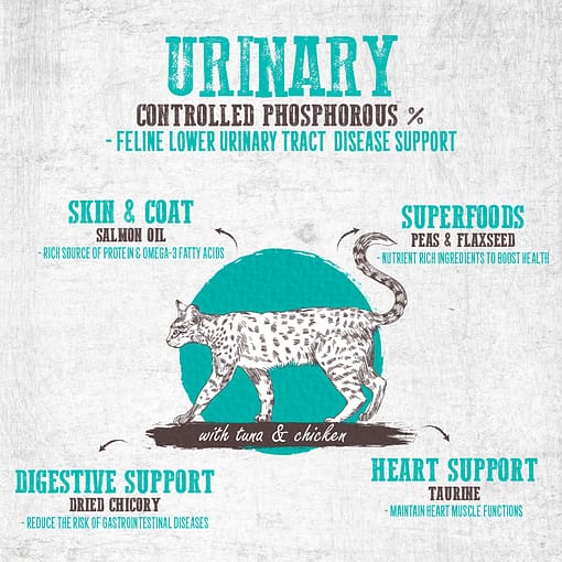 Absolute Holistic Grain Free Dry Cat Food - Urinary