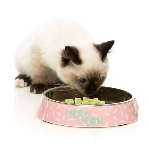 FuzzYard Featherstorm - Melamine Cat Bowl