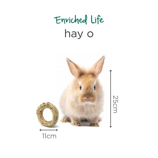 Oxbow Enriched Life - Hay-O Toy for Small Animals