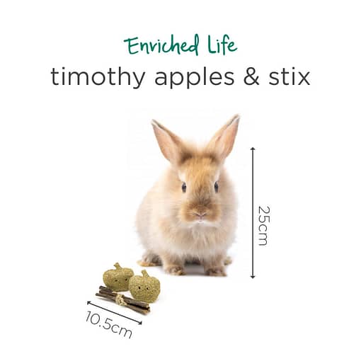 Oxbow Enriched Life - Timothy Apples & Stix Toy for Small Animals