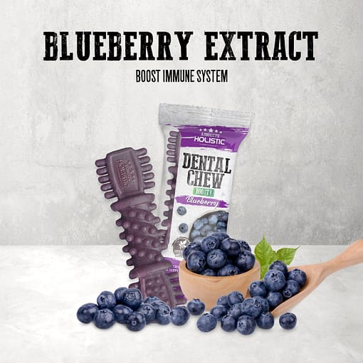 Absolute Holistic Blueberry Boost Dental Chew 4