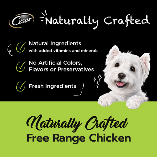 Cesar Naturally Crafted Dog Food Wet Food Chicken 85g