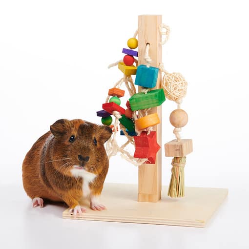 Oxbow Enriched Life - Play Post Toy for Small Animals