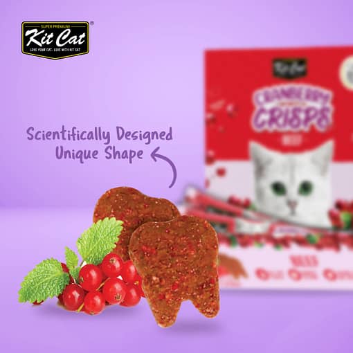 Kit Cat Cranberry Crisps Cat Treats - Beef