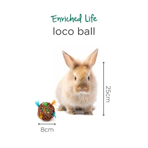 Oxbow Enriched Life - Loco Ball Toy for Small Animals