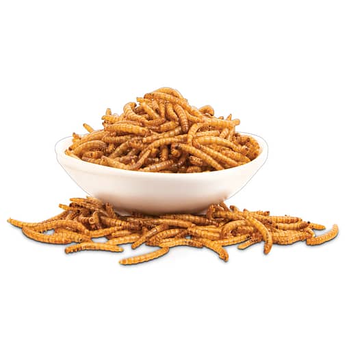 Pet'88 Dried Mealworms for Hamster 100g